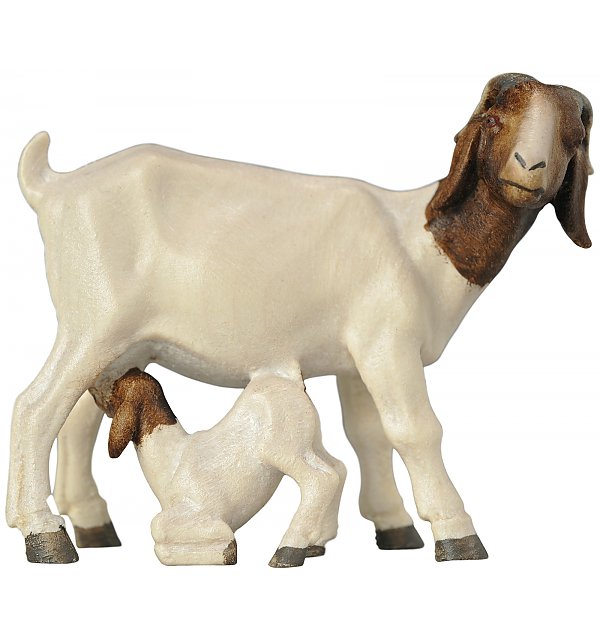 2952 - Boer goat with fawn COLOR