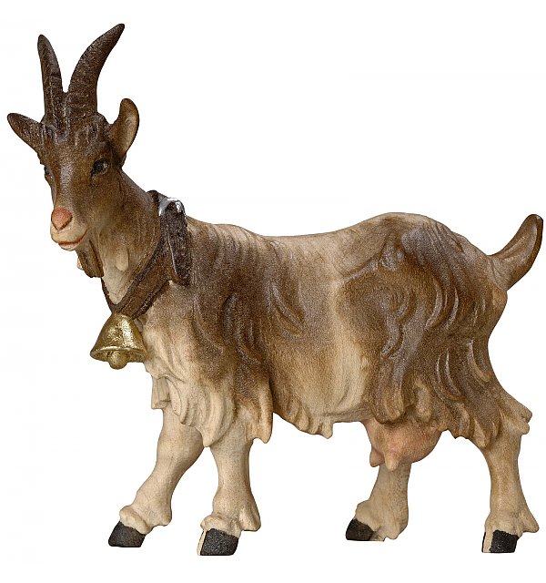 2974 - Goat standing with bell COLOR