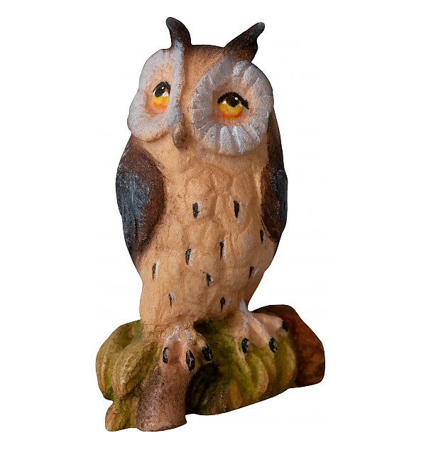 4330 - long-eared owl COLOR