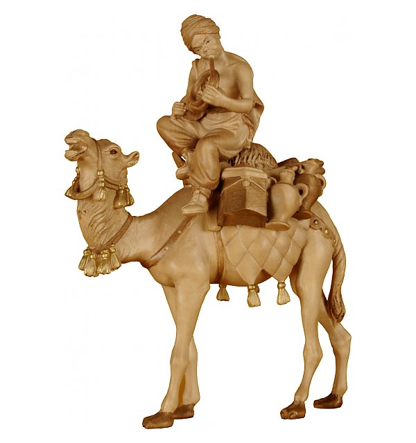 2272 - Camello con bagaglio e Cammelliere seduto TON2