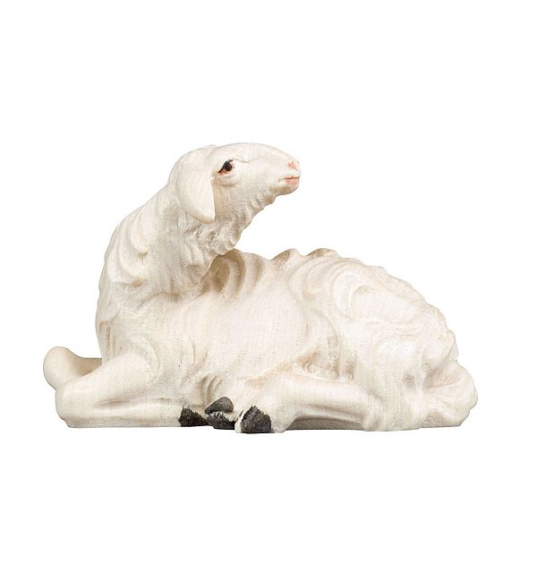 1660 - Schaf liegend zurückschauend COLOR