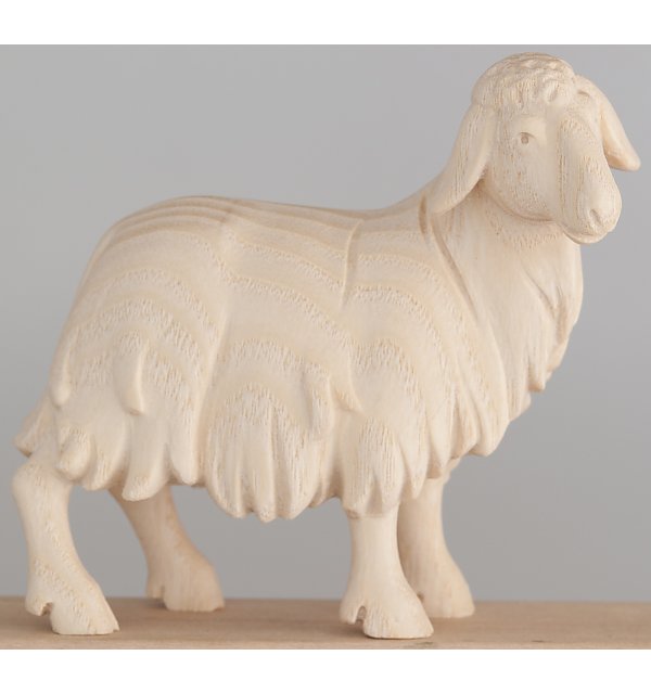 1851 - Schaf stehend NATUR