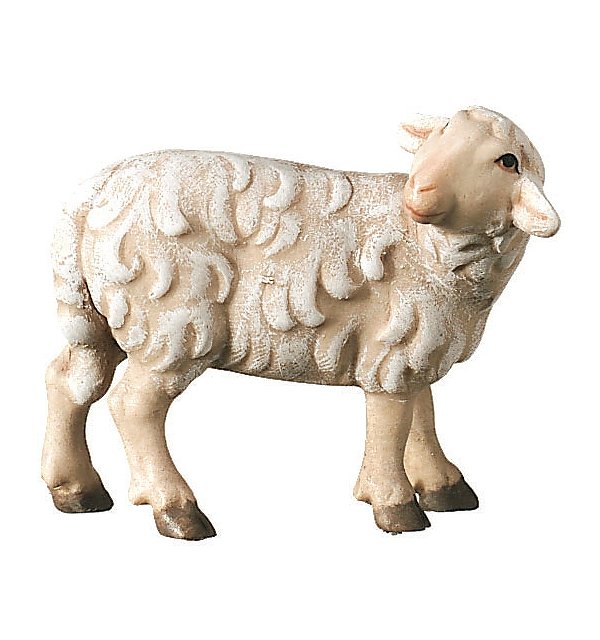 2440 - Schaf stehend zurückschauend COLOR