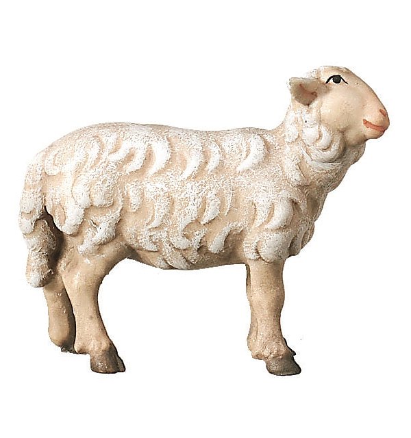 2450 - Schaf stehend rechtschauend COLOR