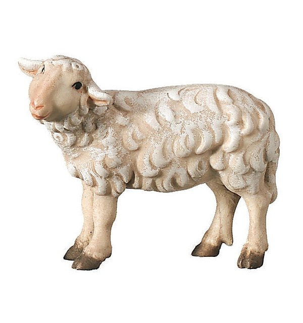 2460 - Schaf stehend linksschauend COLOR