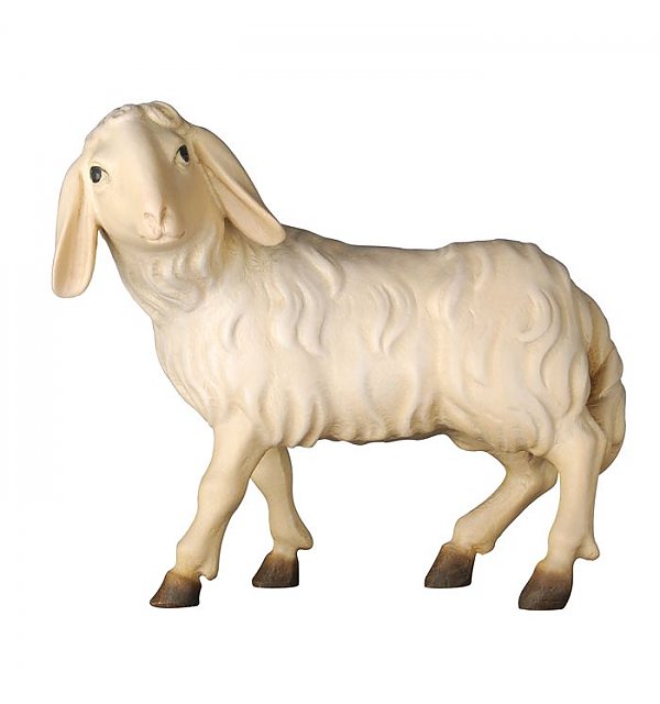 KD155017 - Schaf stehend