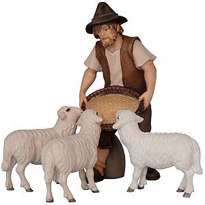 2169 - Schaffütterer mit drei Schafen