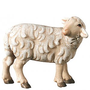 2440 - Schaf stehend zurückschauend