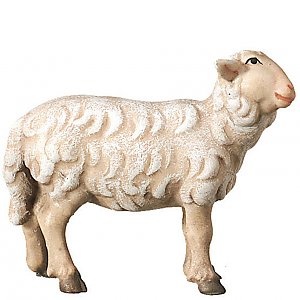2450 - Schaf stehend rechtschauend
