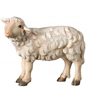 2460 - Schaf stehend linksschauend
