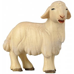 1853 - Lamb standing