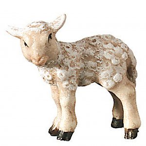 2500 - Lamb standing