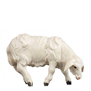 2961 - Sheep grazing