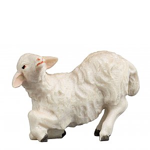2968 - Lamb kneeling