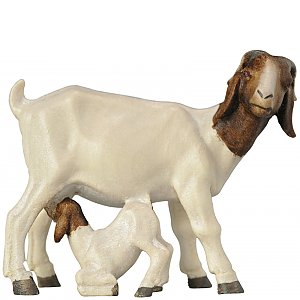 4311 - Boer goat with fawn