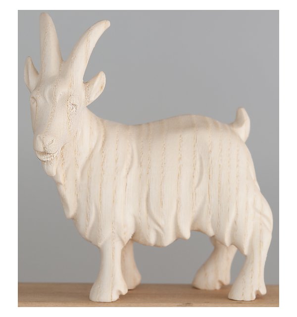 1831 - Goat standing NATUR