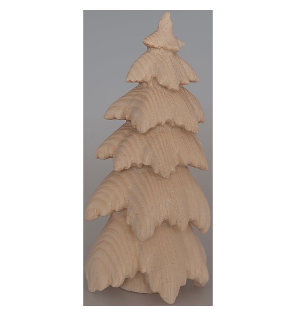 1848 - fir tree in wood NATUR