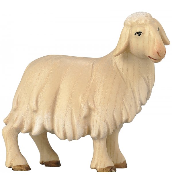 1851 - Sheep standing AQUARELL