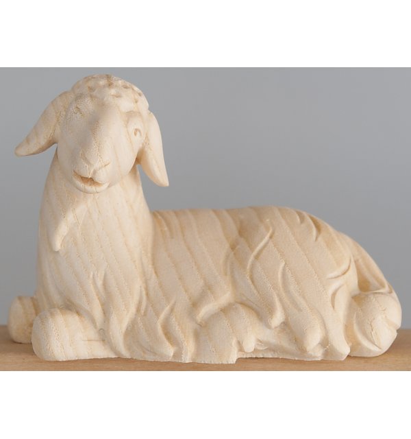 1852 - Sheep lying NATUR