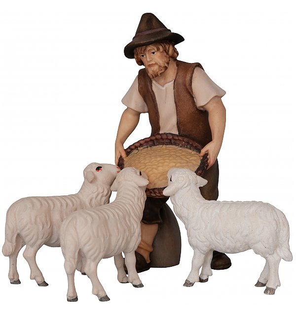 2169 - Shepherd feeding three sheep COLOR