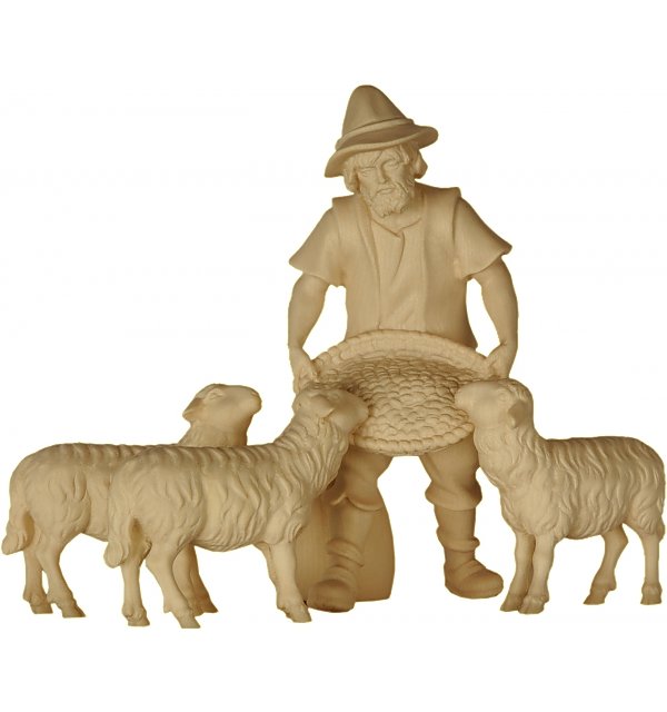 2169 - Shepherd feeding three sheep NATUR