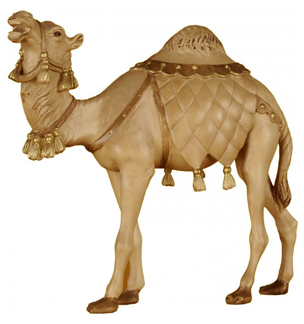 2270 - Camel TON2
