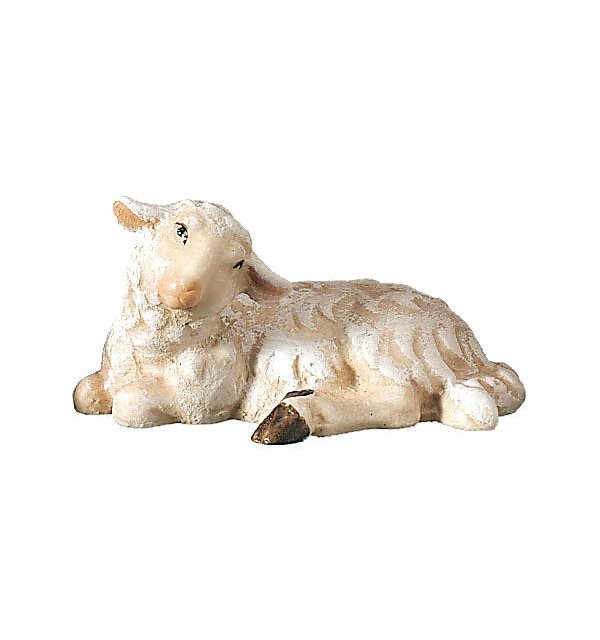 2420 - Sheep lying COLOR