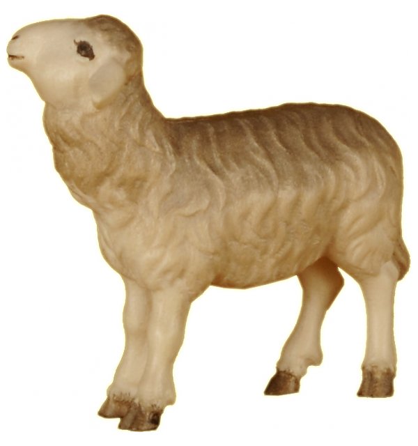 2461 - Sheep left of the Shepherd TON2
