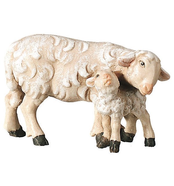 2470 - Sheep with lamb standing COLOR