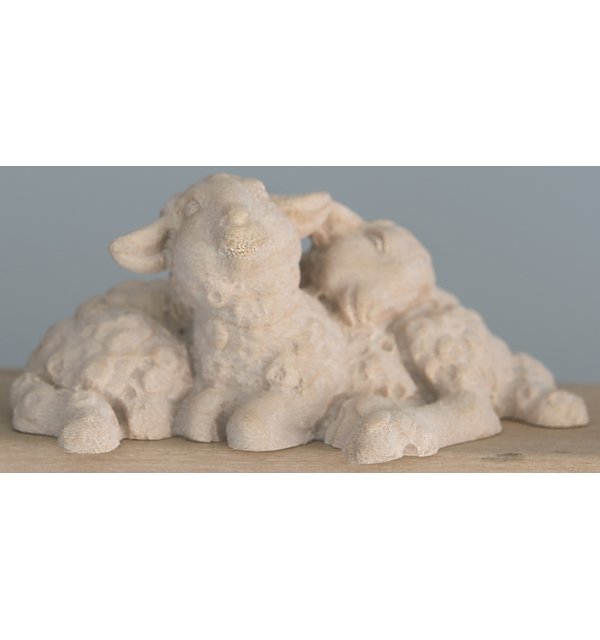 2480 - Couple of lambs lying NATUR