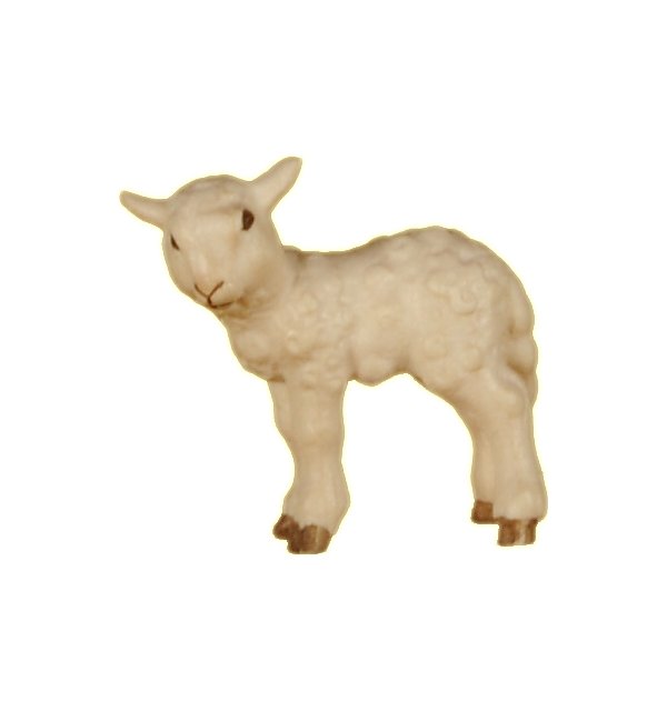 2500 - Lamb standing TON2