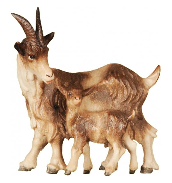 2602 - Nanny goat COLOR