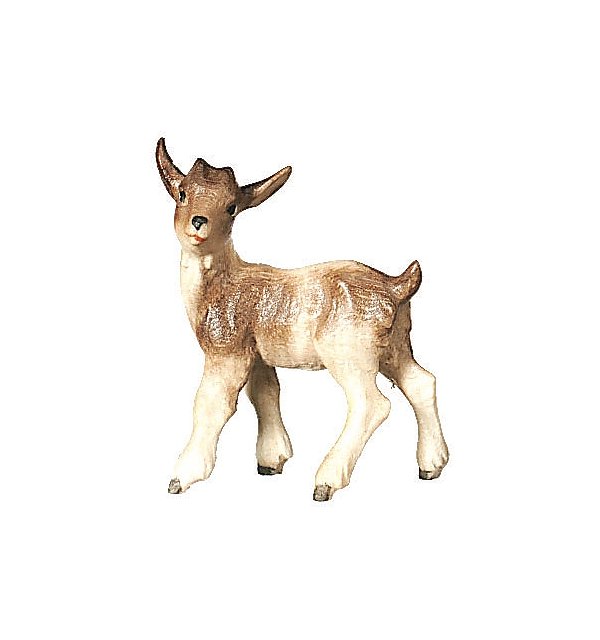 2640 - Fawn standing COLOR