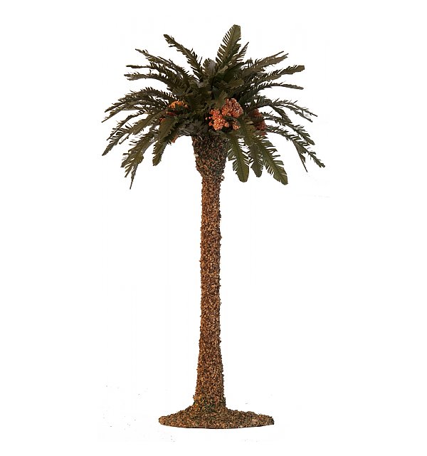 2790 -  Palm tree