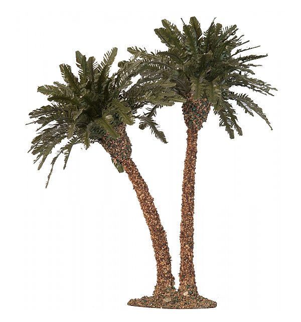 2791 - Palm tree, double