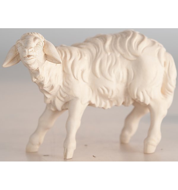 2962 - Sheep bleating NATUR