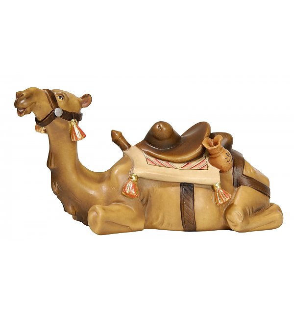 2976 - Camel lying COLOR