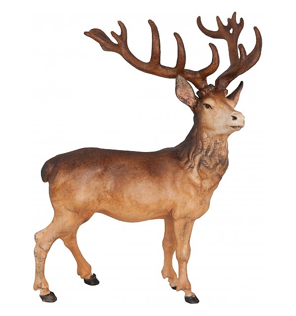 4308 - Deer