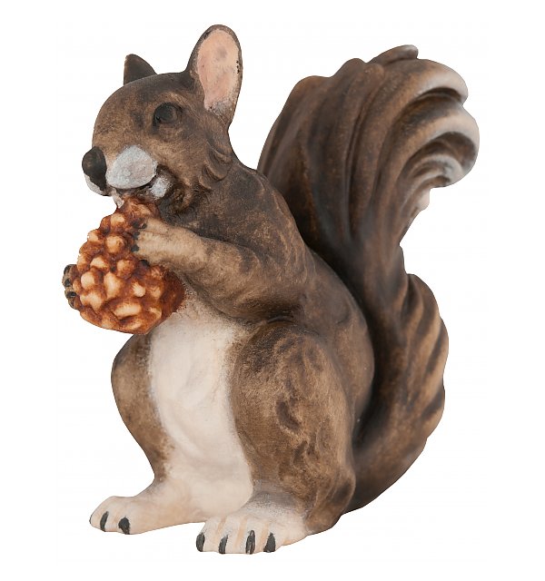 4333 - Squirrel COLOR