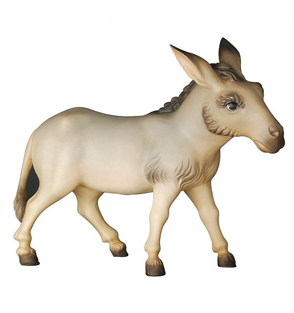 KD155008 - Donkey