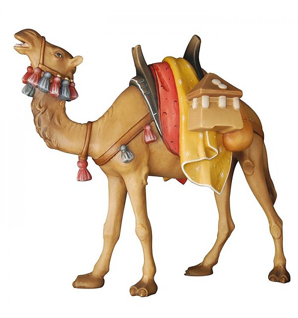 KD155034 - Camel