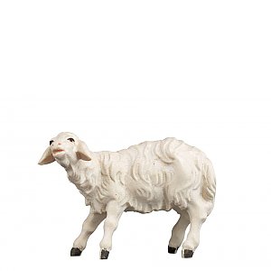 1661 - Sheep