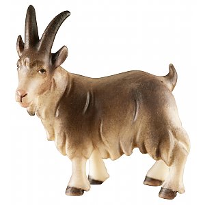 1831 - Goat standing