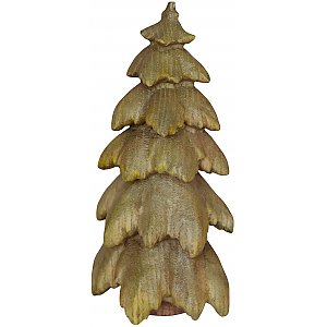 1848 - fir tree in wood
