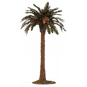 2790 -  Palm tree