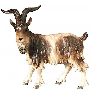 2972 - Billy goat standing