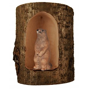 43031 - Trunk with Marmot