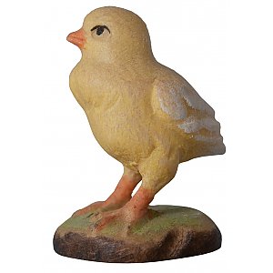 4322 - Chick