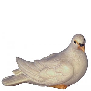 4323 - Pigeon