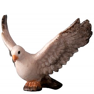 4324 - Pigeon flying